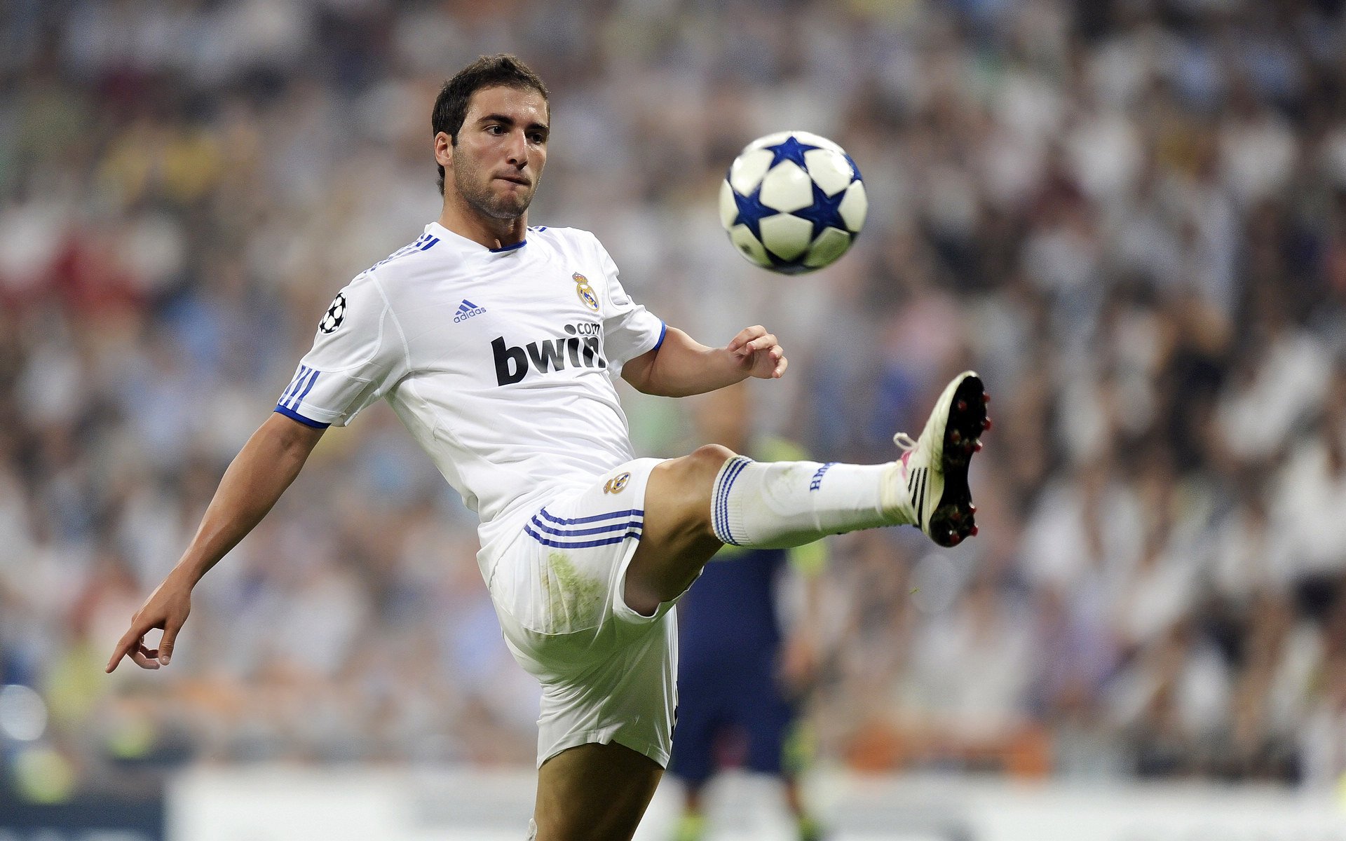 东契奇以一己之力掀翻日本男篮,完胜之夜引爆全场!